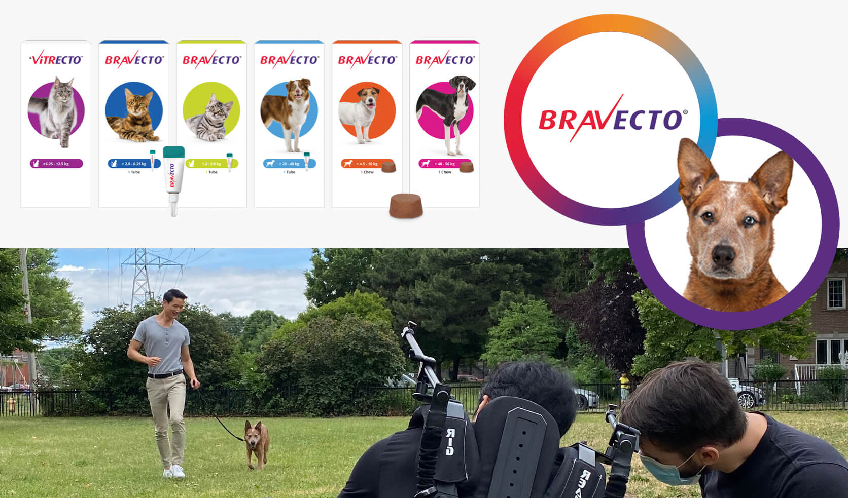 Behind the scenes shooting of Bravecto video, along with the Bravecto Pack shots.